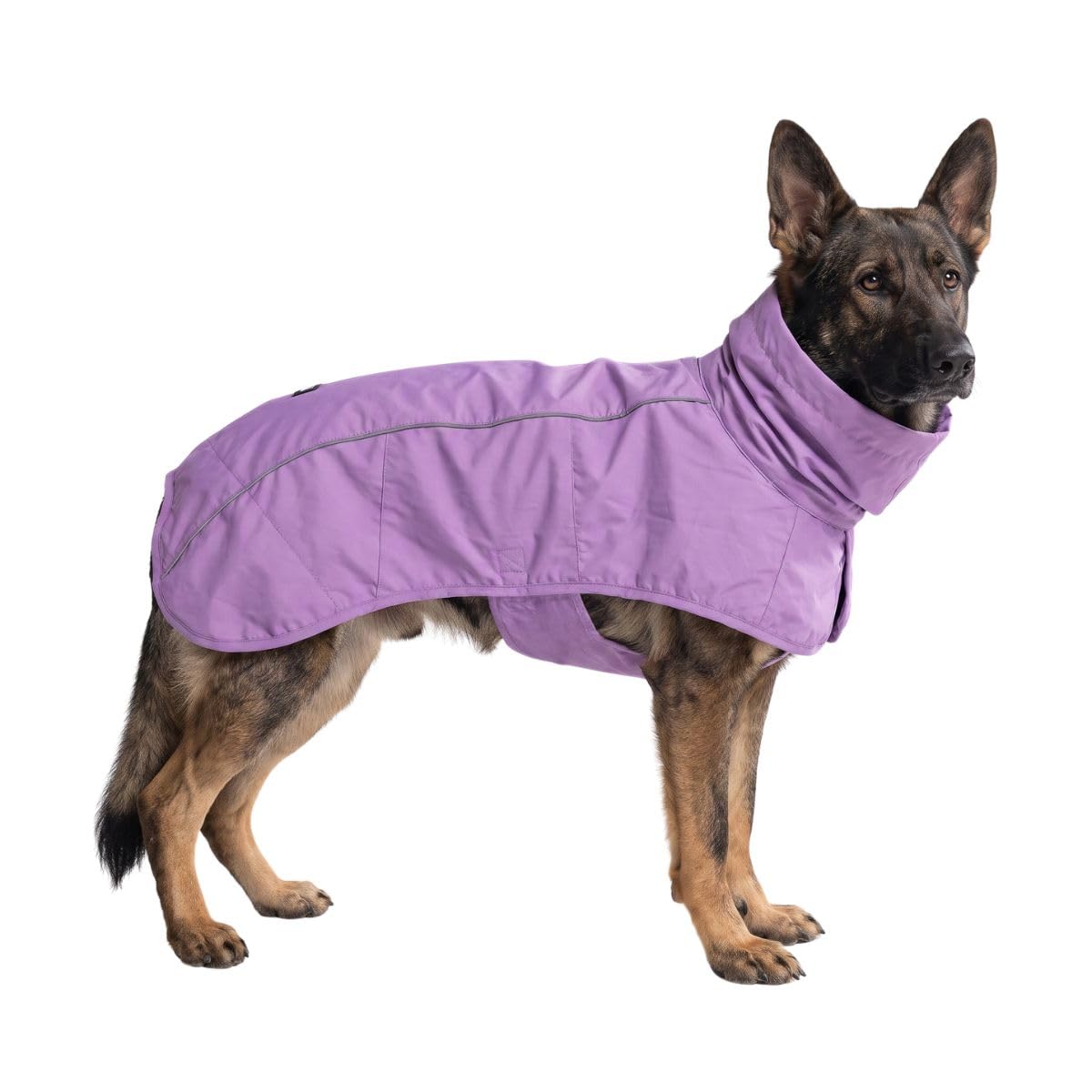 Dog Raincoat Waterproof Rain Jacket w (Purple / 3XL)