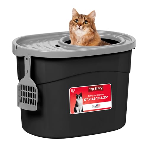 Top Entry Cat Litter Box (Oval / Black w/ Scoop)