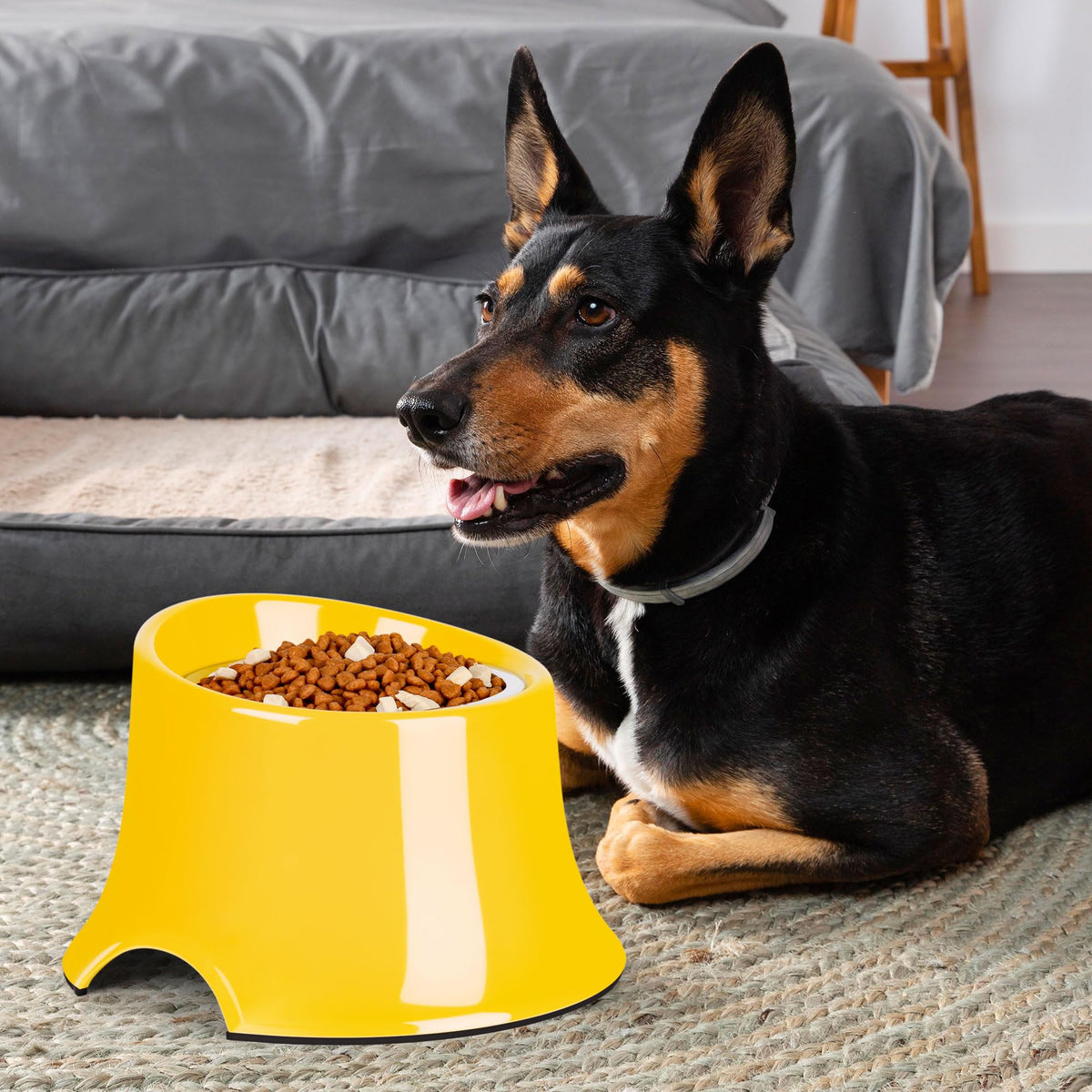 Dog Bowls Non (S/1 Cup / Yellow)