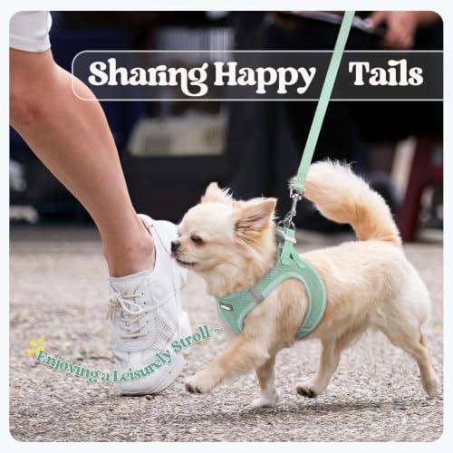 Dog Harness Medium Sized and Leash Set (Moss Green / L (chest: 18.2 - 20.5"))