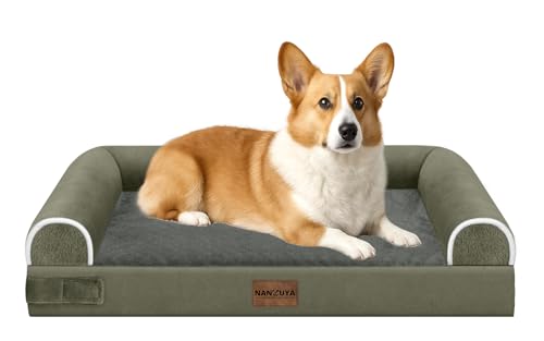 Orthopedic Dog Bed for Medium Dogs (Dark Green / 30.0"L x 20.0"W x 6.0"Th)