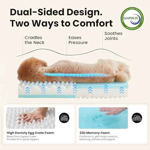 Orthopedic Waterproof Small Dog Bed (24"x 16"x 3” (For Sprawling) / 02-Pink)