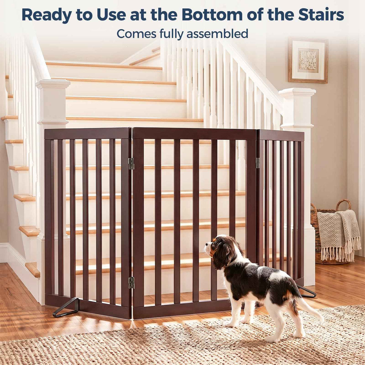 Dog Gate Indoor (Espresso / 56"Wx24"H, 3-Panel)