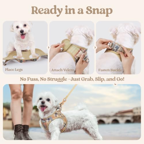 Dog Harness Medium Sized and Leash Set (Beige Plaid / M (chest: 16 - 18.5"))