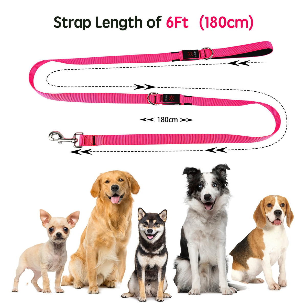 LED Light Up Dog Leash (Pink / 6 Ft)
