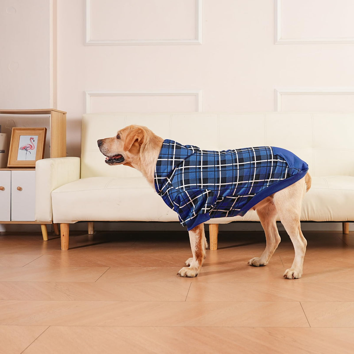 Plaid Dog Hoodie (Navy Blue / XX-Large)