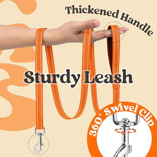Dog Harness Small Sized and Leash Set (Black & Orange / XS (Chest: 13.3"-15.5"))