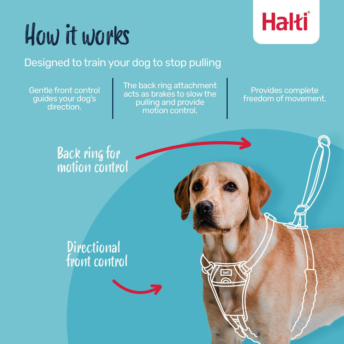 No Pull Dog Harness (Cobalt Blue / L)