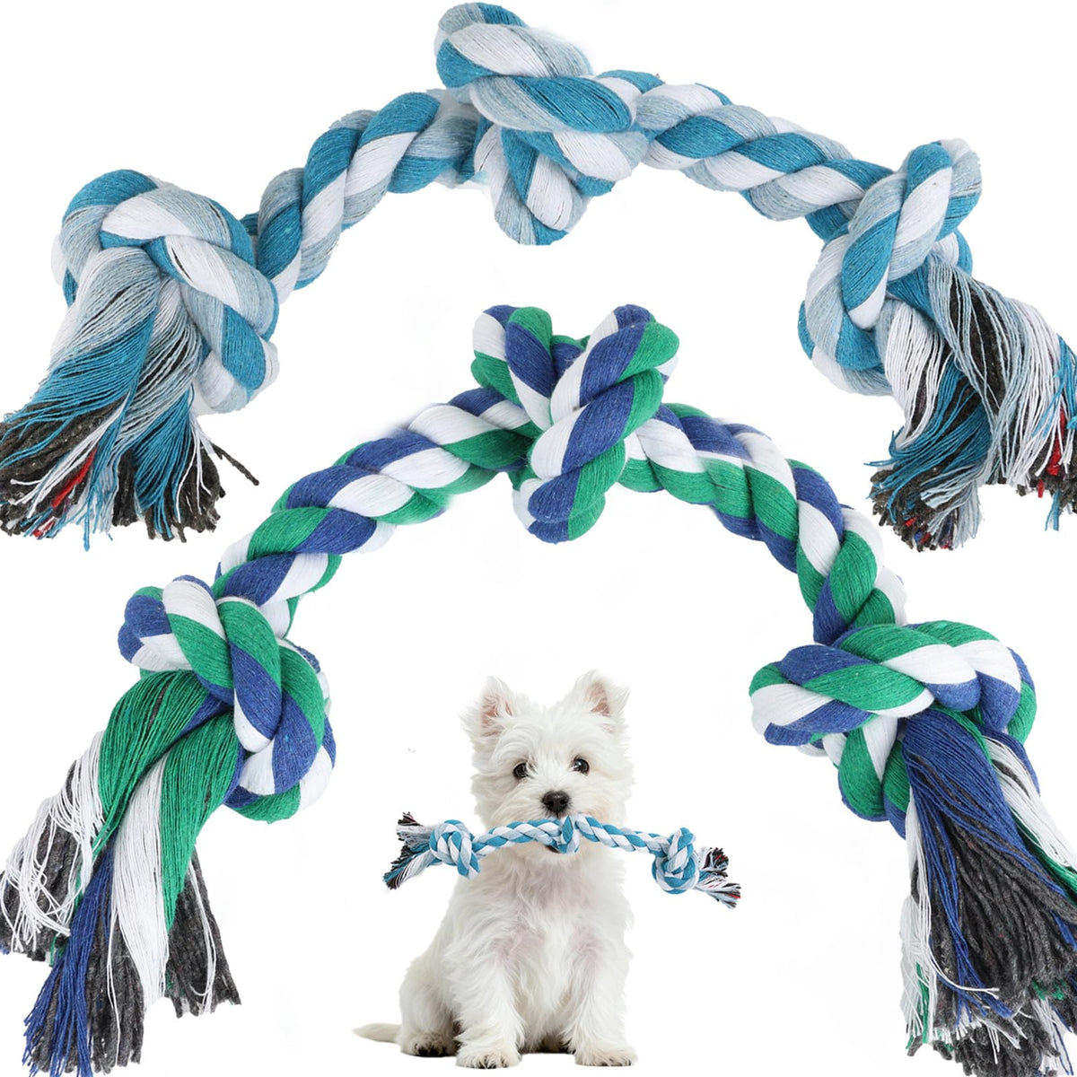 Dog Rope Toy 2 (Small / Blue & Green)