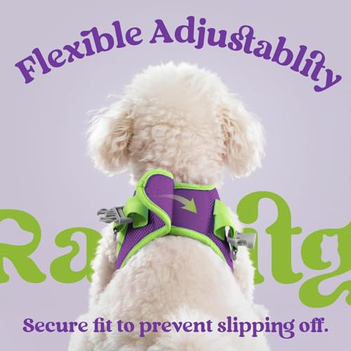 Dog Harness Small Sized and Leash Set (Purple & Green / XXS (Chest: 12.4"-14.2"))