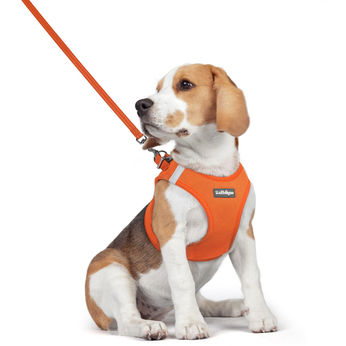 Dog Harness Medium Sized and Leash Set (Orange / L (chest: 18.2 - 20.5"))