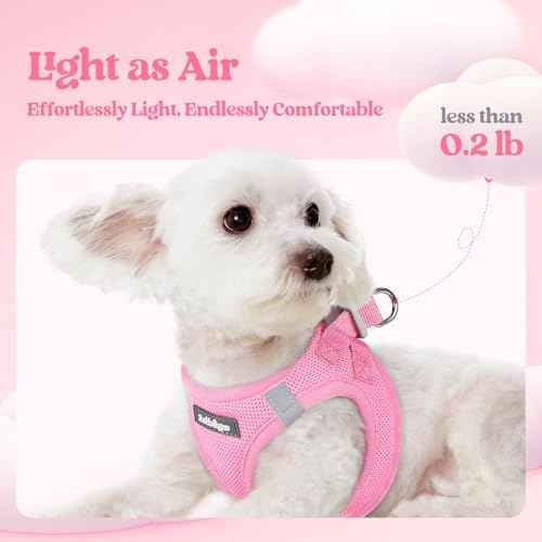 Dog Harness Small Sized and Leash Set (Light Pink / Xxxs (chest: 10.8 - 11.8"))