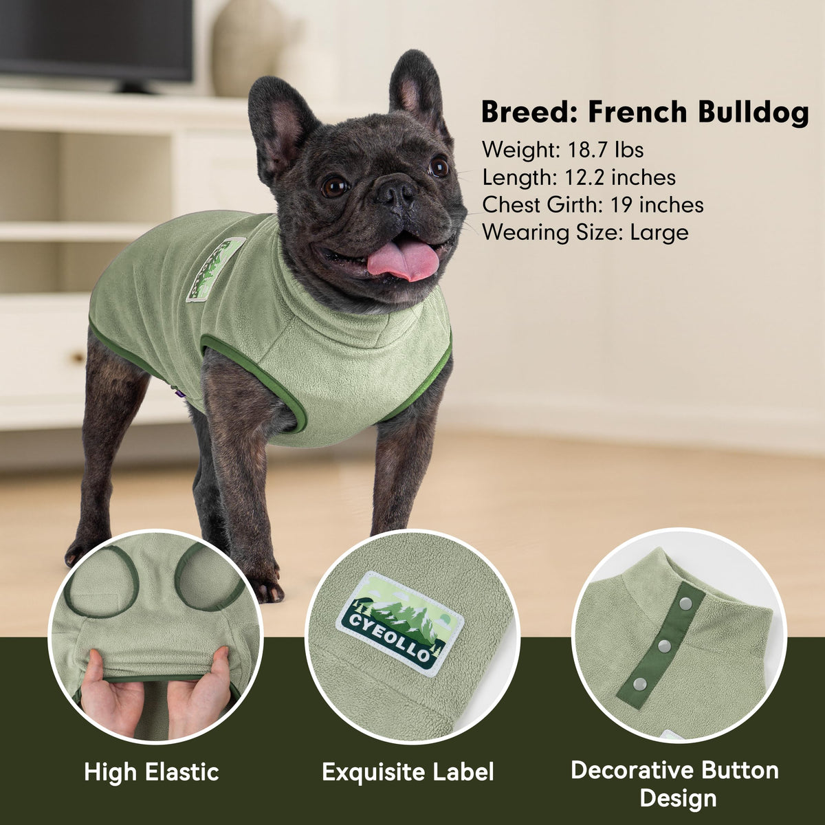 Fleece Dog Sweater (Green / X-Large)