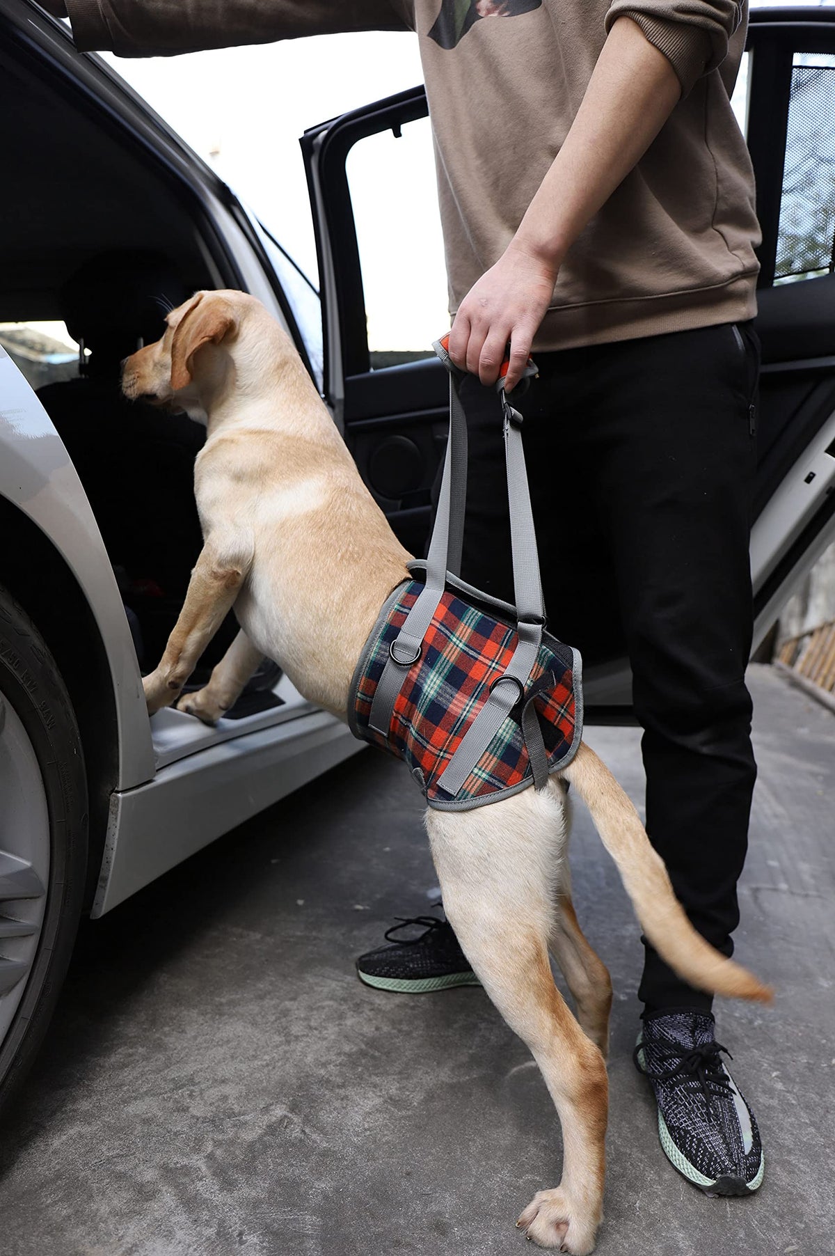 Dog Lift Harness (Large / Hind Legs-Orange)