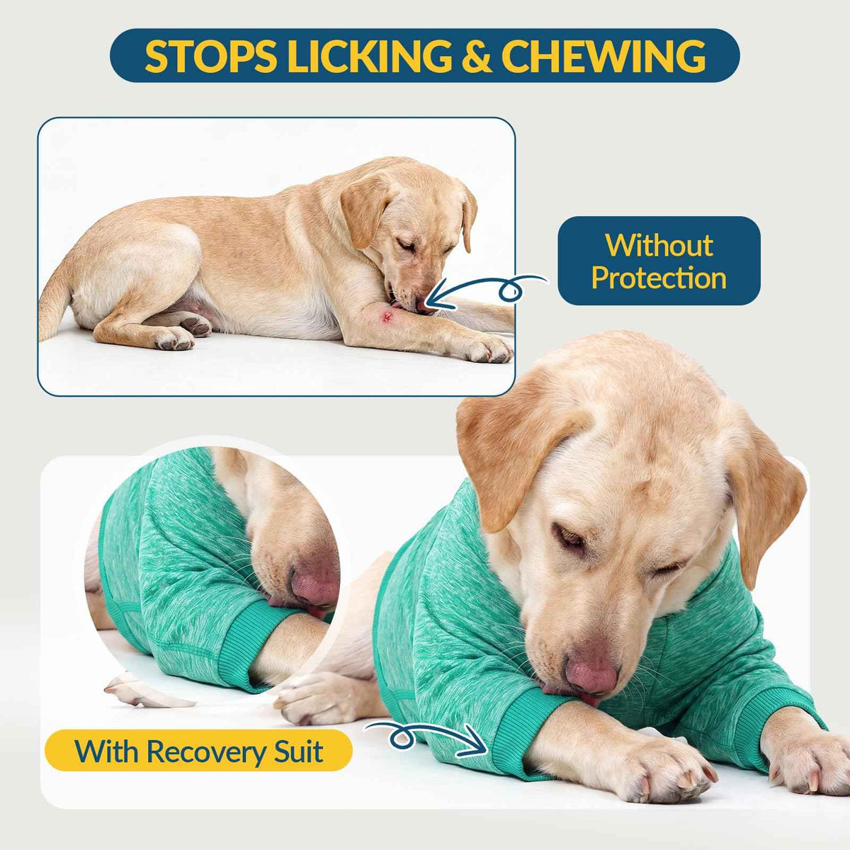 Dog Recovery Sleeve Front Leg Dog Shirt Half Shoulder (L / Green)