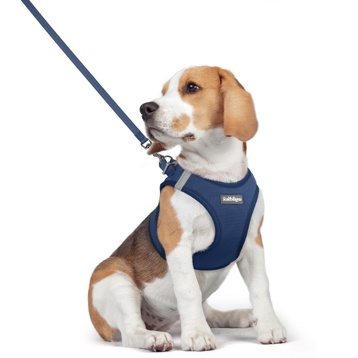 Dog Harness Medium Sized and Leash Set (Navy Blue / L (chest: 18.2 - 20.5"))