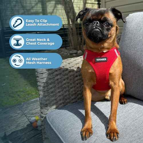 Voyager Step in Air All Weather Mesh Harness and Reflective Dog 5ft Leash Combo with Neoprene Handle (Harness Leash Set (Red) / M (Chest: 16 - 18"))