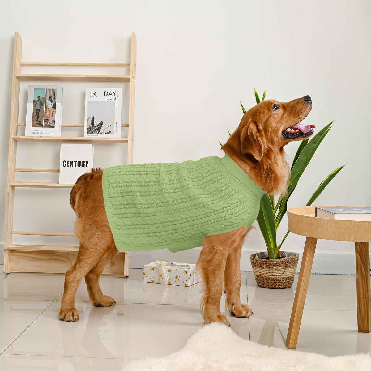 Dog Sweater 2 Pack for Large Dogs (Blue & Green / XXX-Large)