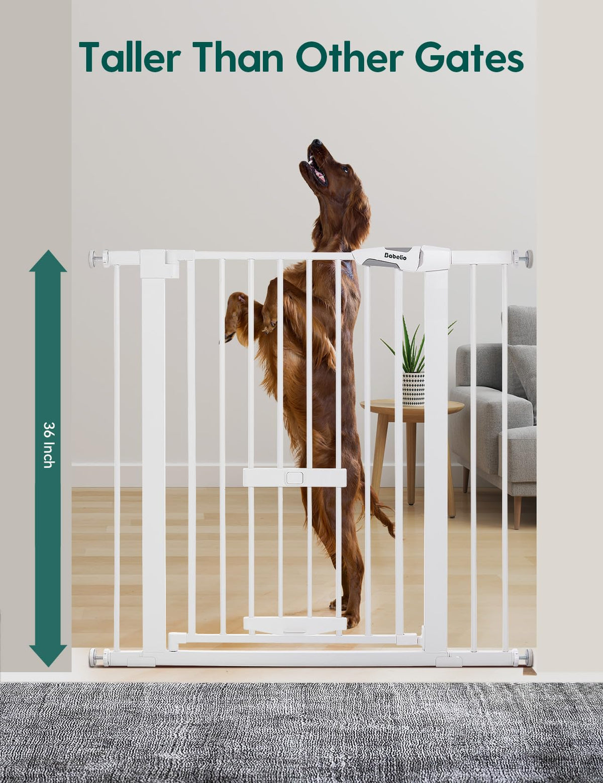36" Tall Pet Gate with Cat Door (White / 29-40" Wide, 36" Tall)