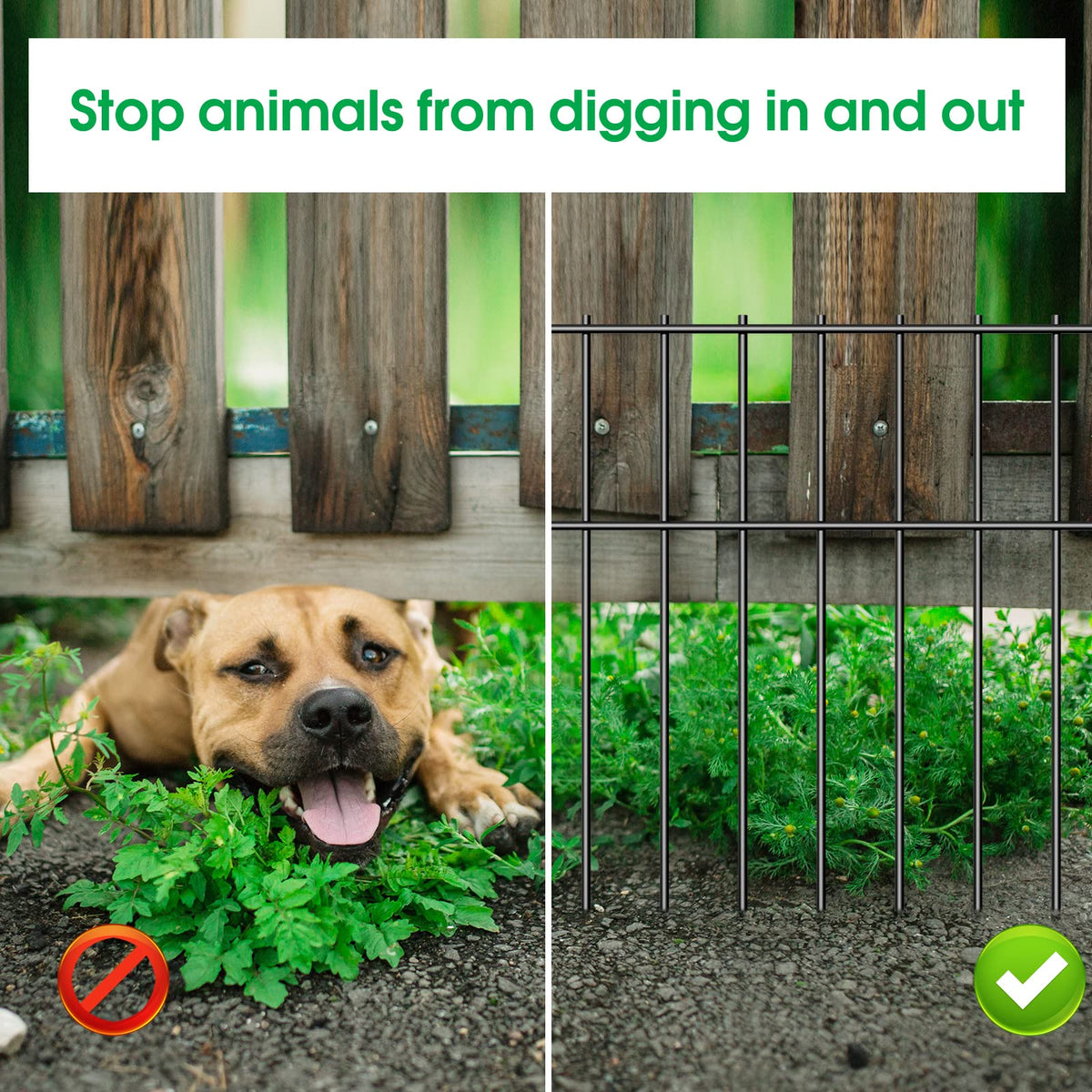 10 Pack Animal Barrier Fence No Dig (10 Pack)
