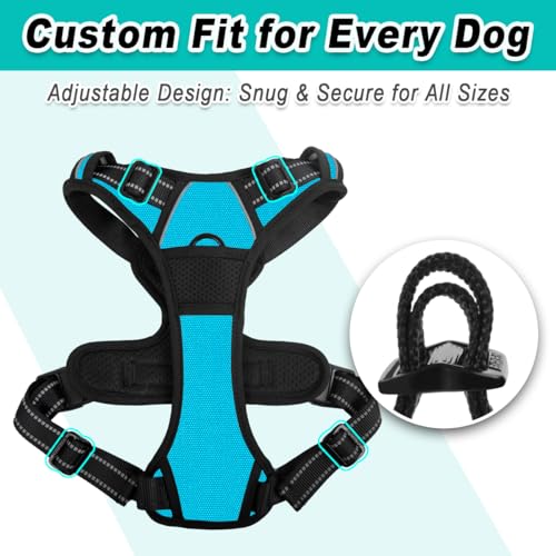 Dog Harness for Large Dog No Pull 2 Leash Clips Dog Vest (X-Large / Blue)