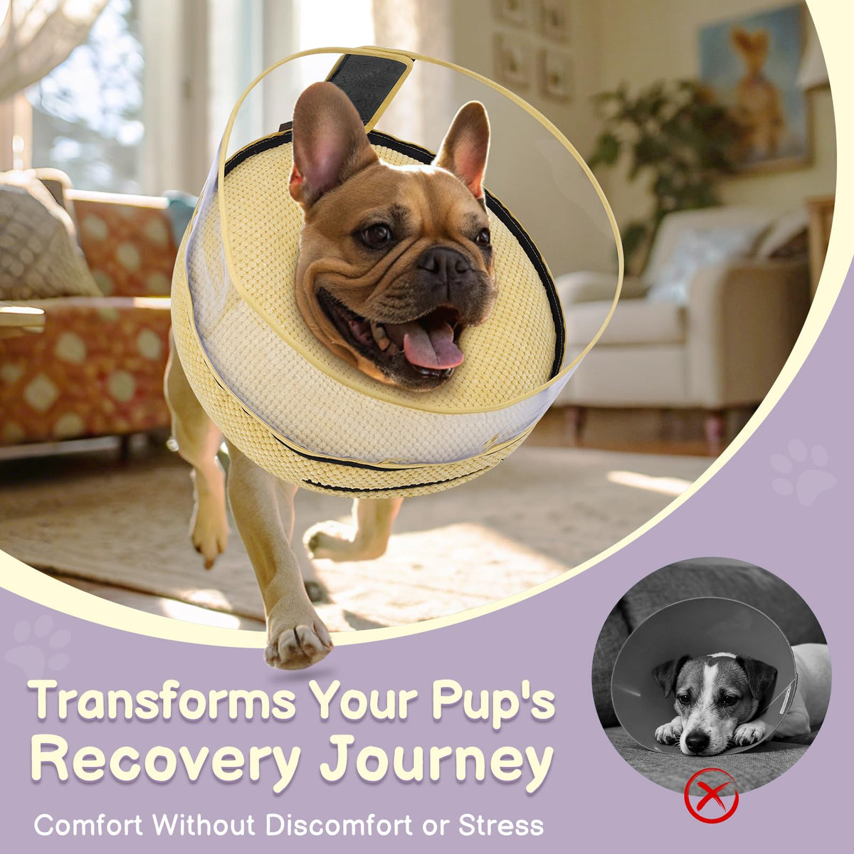 Inflatable Dog Cone with Clear Shield for Added Coverage (Khaki / M+ (Neck: 11"-14"))