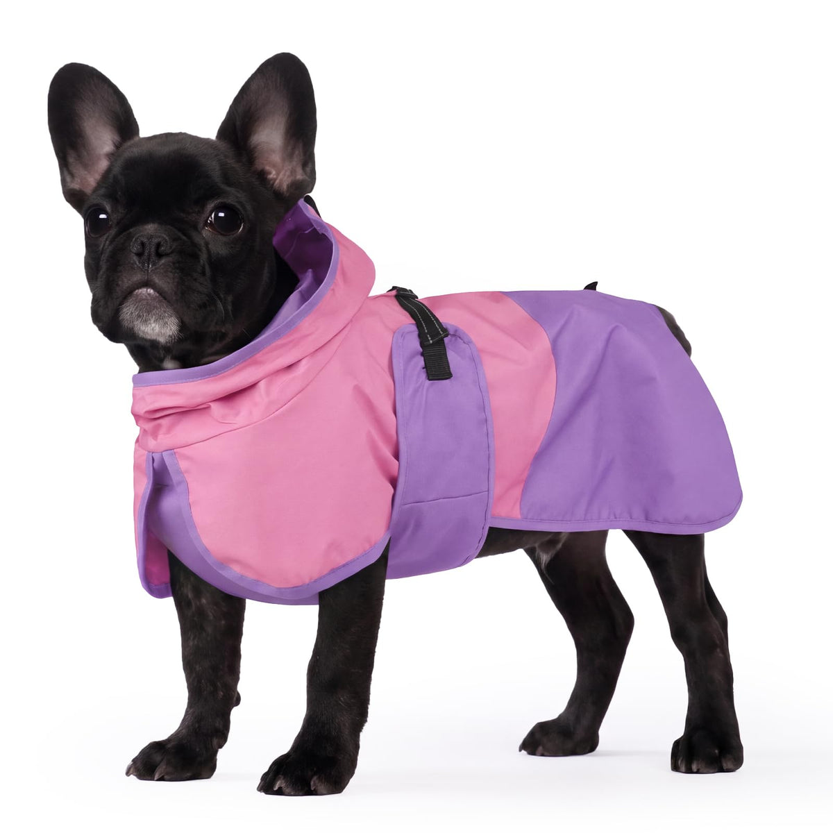 Dog Raincoat Waterproof Rain Jacket with Hood (M(Back Length14.1") / Pink Purple)
