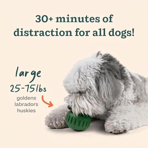 Starter Pack Dog Treat Toy for Large Dogs 25 (Large Starter Pack)