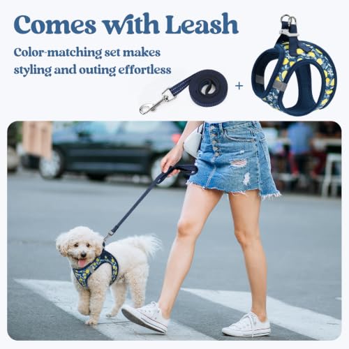 Dog Harness Medium Sized and Leash Set (Navy Lemon / M (chest: 16 - 18.5"))