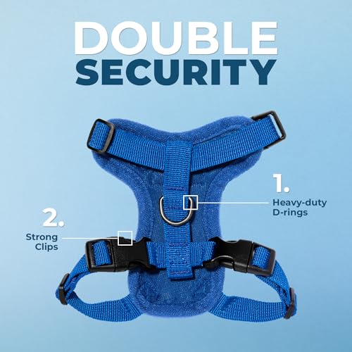 Voyager Step in Lock Cat Harness & Leash Set (Royal Blue / XXS (Chest: 11.5 - 14"))