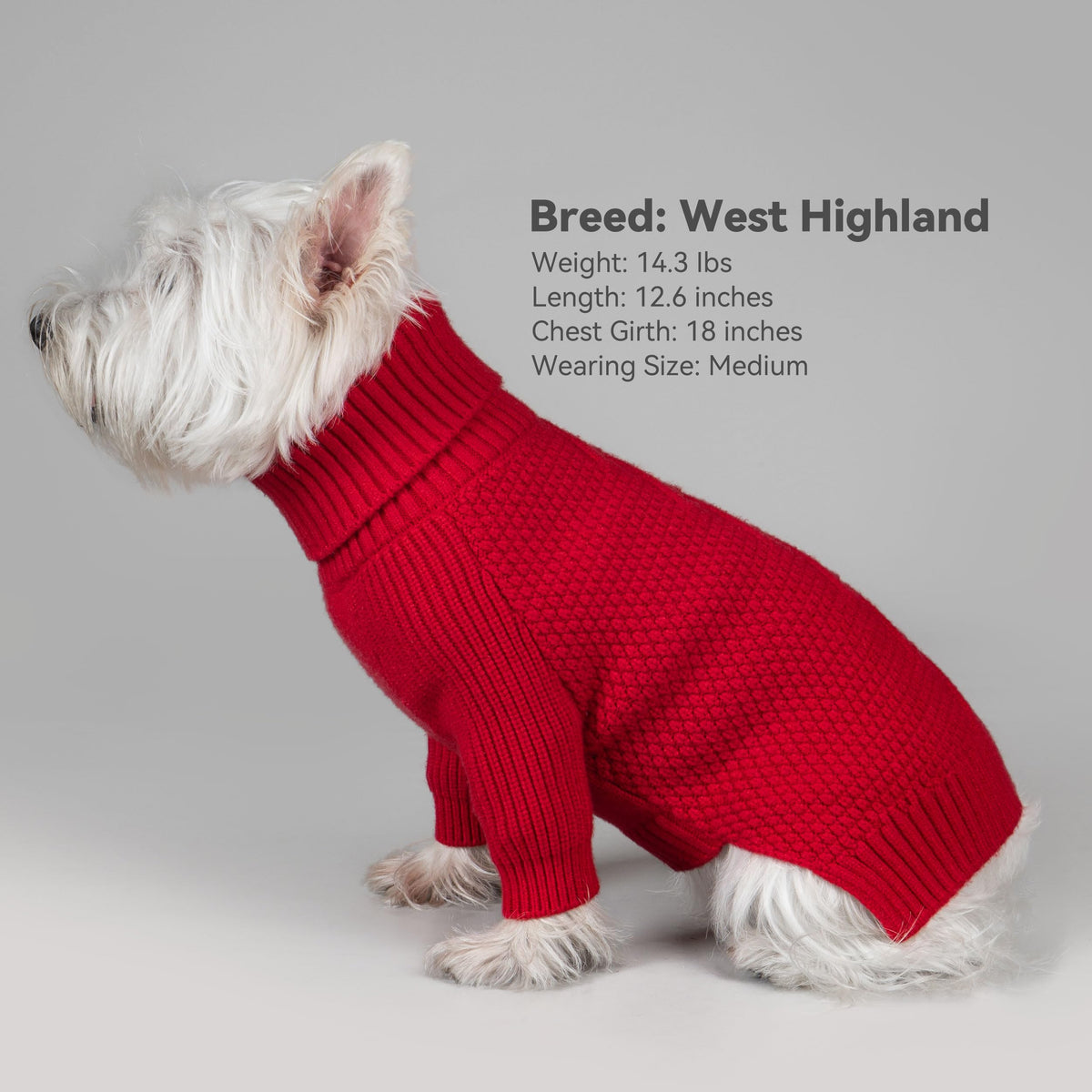 Dog Sweater Long Sleeve Warm Knit Sweaters for Small Dogs Boy Girl (Red / Large)