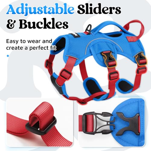 Escape Proof Dog Harness for Small (Red & Blue / Small)