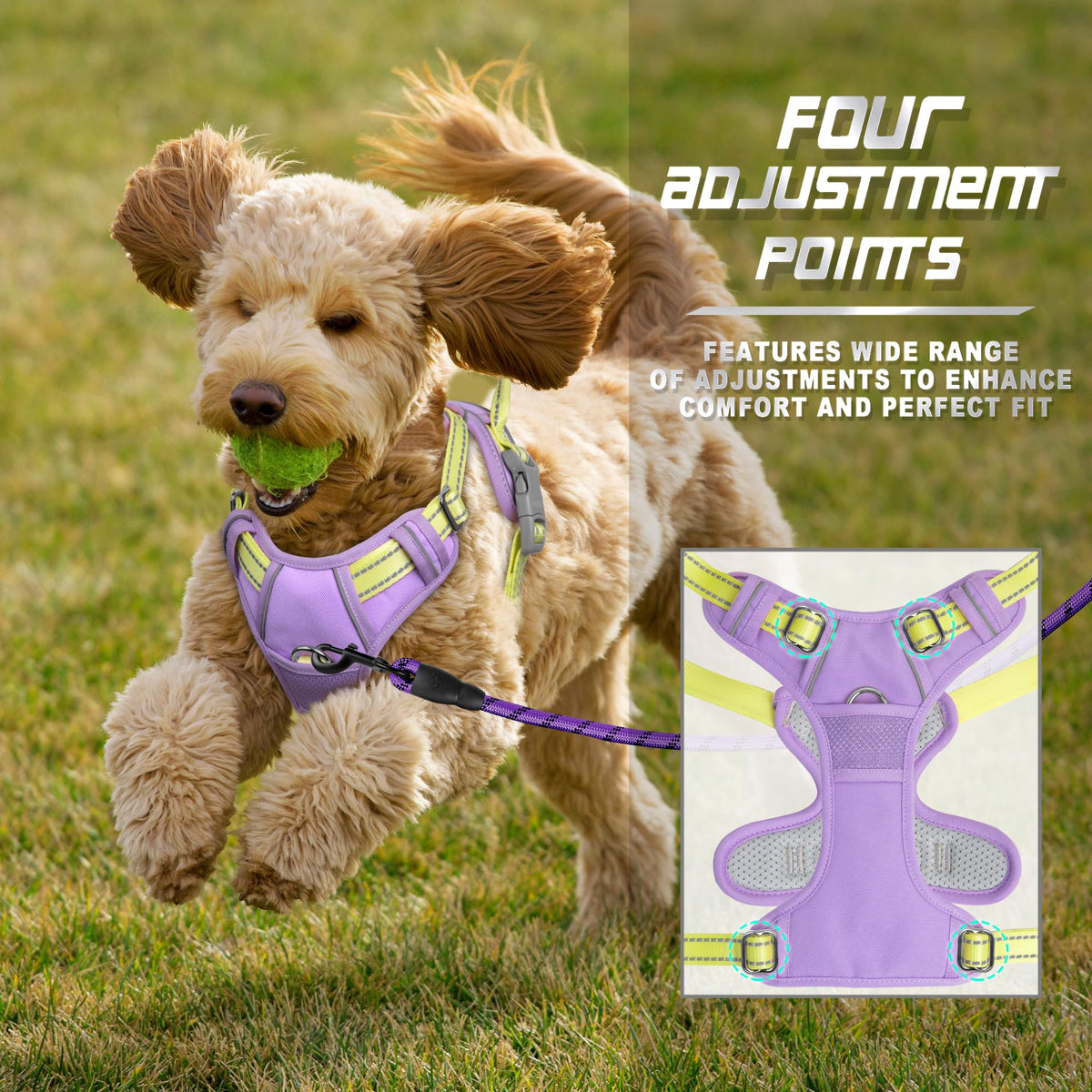 Dog Harness No Pull for Small Sized Dog Front Back Clips (X-Small(Chest:15.5-19.5”) / Violet Purple & Sunlight)