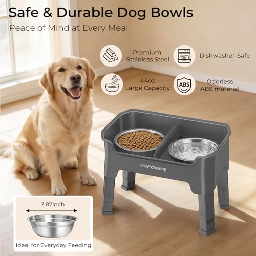 Mess Proof Elevated Dog Bowls (Grey / Medium)
