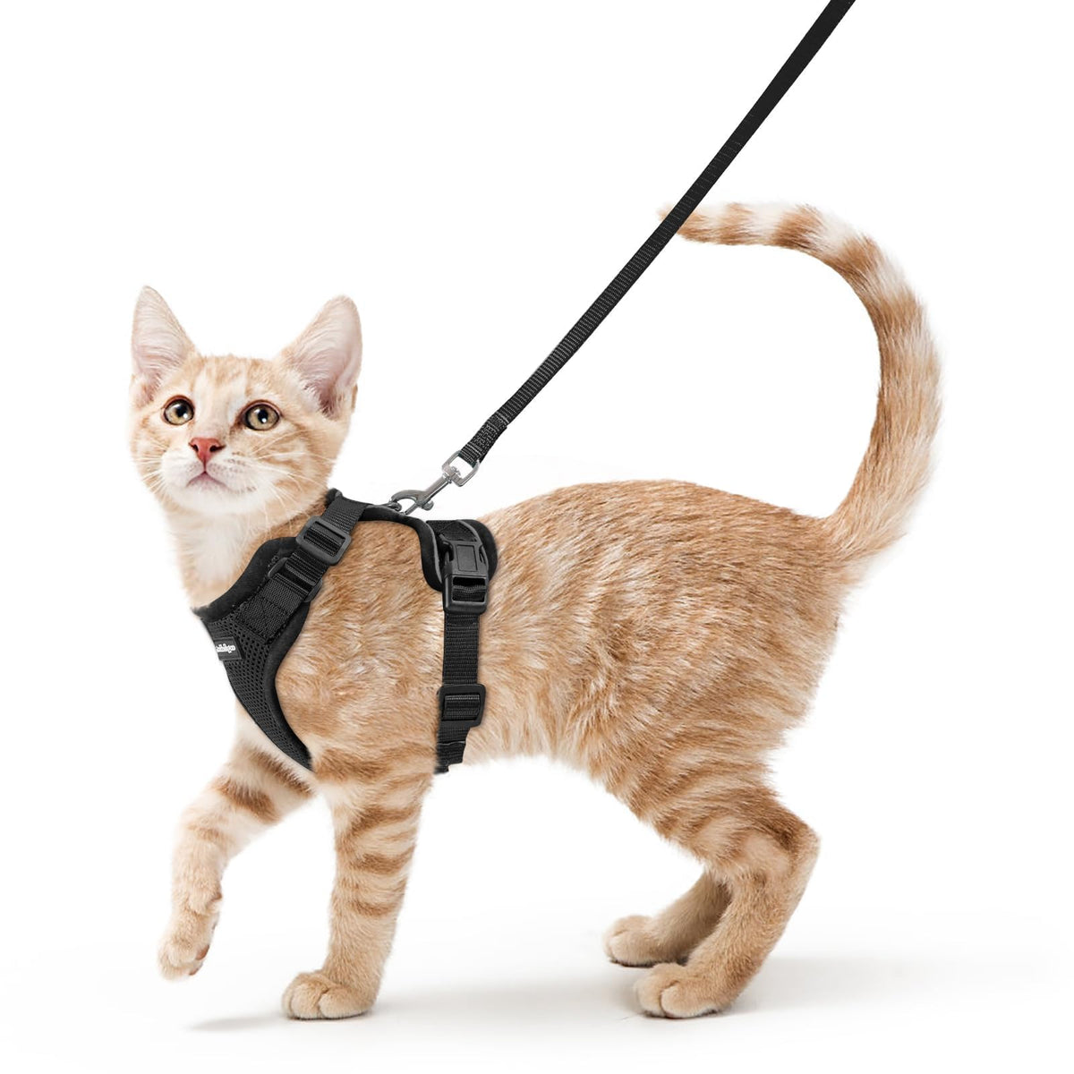 Cat Harness and Leash Set (Xs / Black)
