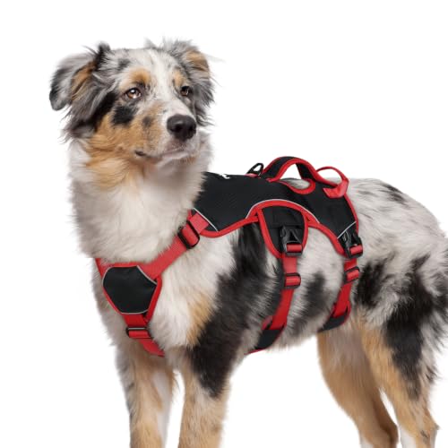 Escape Proof Dog Harness for Medium (Red & Black / Medium)