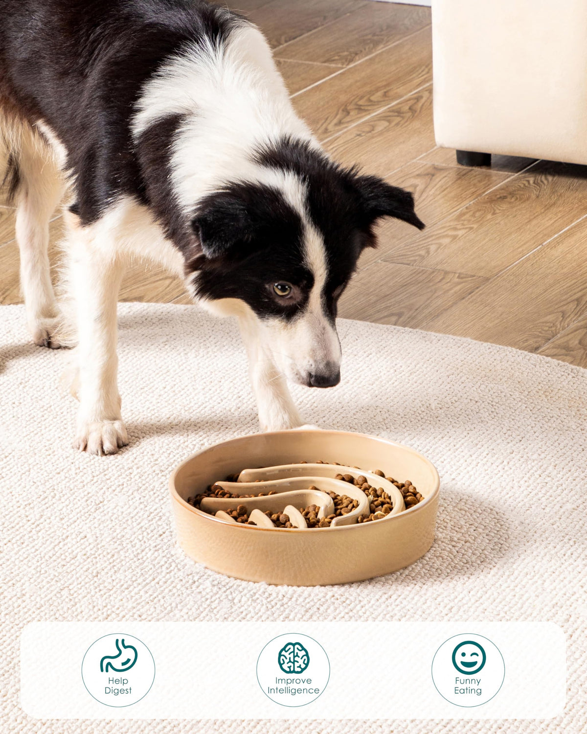 Slow Feeder Dog Bowl (Brown / 3 Cups)