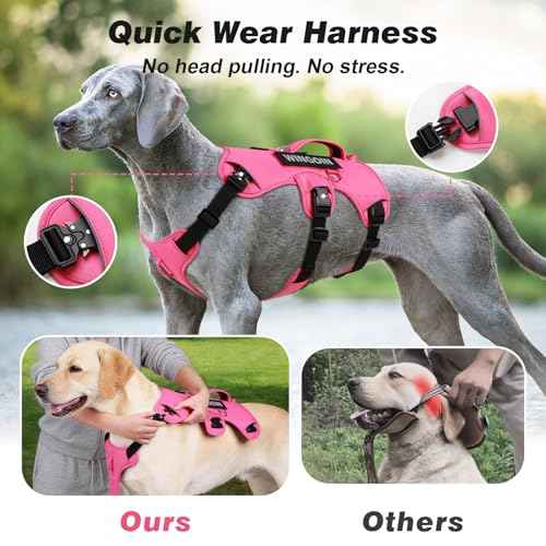No Escape Dog Harness (Hotpink / Medium: 30-50 lbs (Chest:24-28",Neck:17-19"))