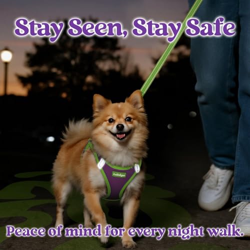 Dog Harness Small Sized and Leash Set (Purple & Green / XXS (Chest: 12.4"-14.2"))
