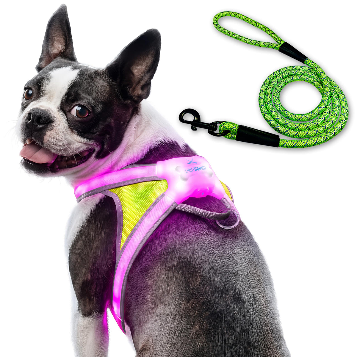 LightHound Light Up Reflective Dog Harness and Leash (Medium)