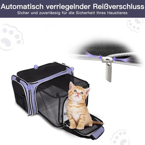 Expandable Cat Carrier with Travel Litter Box (Purple / Cat Travel Litter Box)