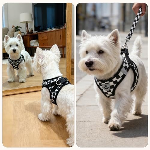 Dog Harness Collar and Leash Set No Pull for Small Medium Sized (Black&White (Checkered) / XS (CHEST 13"-14.5"))