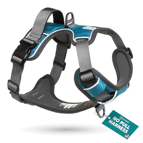 Embark No Pull Dog Harness (XS / Blue)
