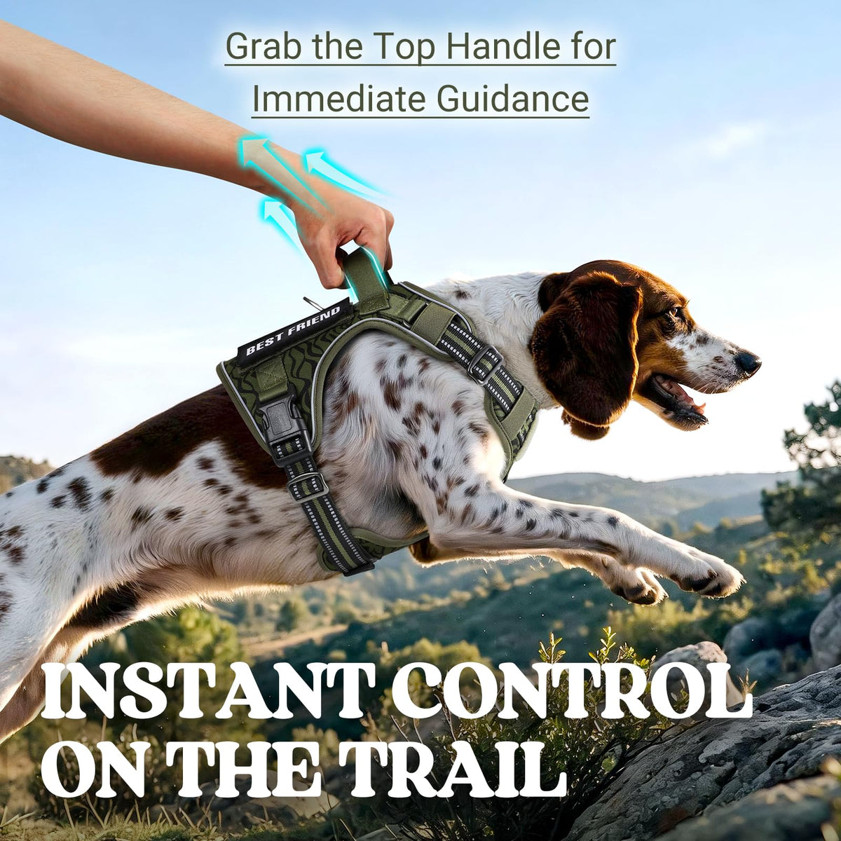 Tactical Dog Harness for Large (Green Desert / Small)