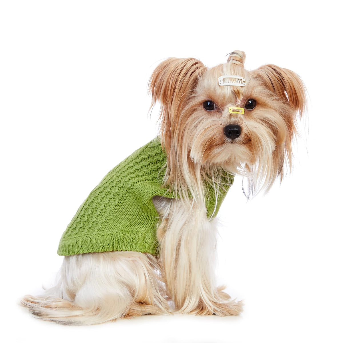 Cat Sweater Stretchy (Green / X-Small)