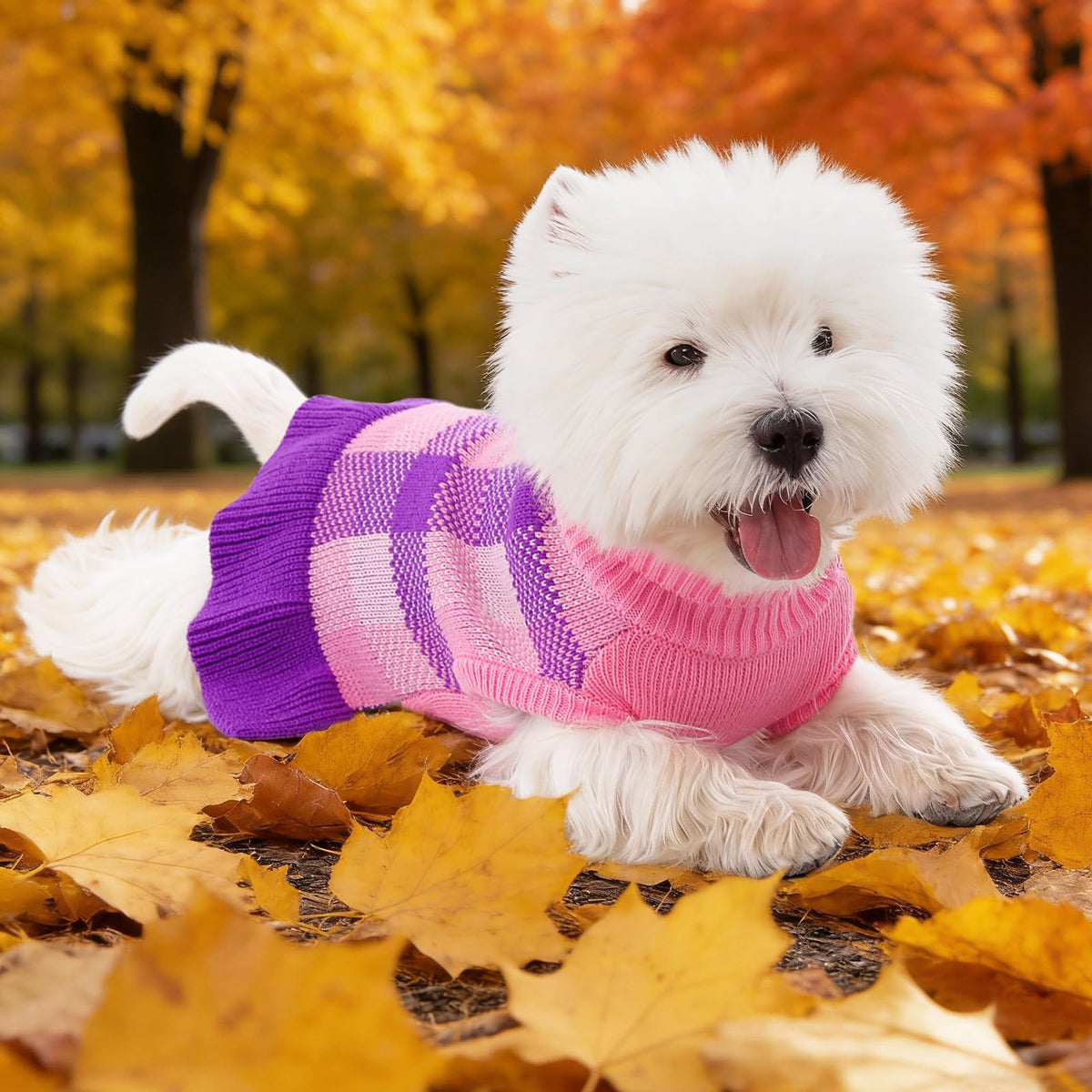 Dog Sweater Dress Plaid Knitwear for Small Dogs Girl Christmas Clothes (Purple / X-Small)