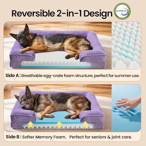 Orthopedic Extra Large Dog Bed Couch (44" x 29" x 7" / 06-Purple)