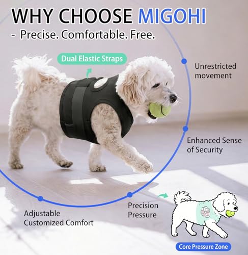 Dog Anxiety Relief Vest (Black / X-Small (Chest: 16.9"/43cm))