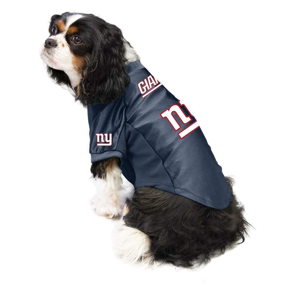 NFL New York Giants Stretch Pet Jersey (New York Giants / X-Large)