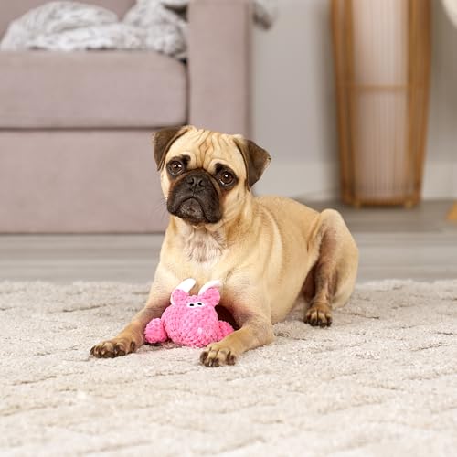 Farm Friends Sitting Flying Pig Squeaky Dog Toy (Mini)